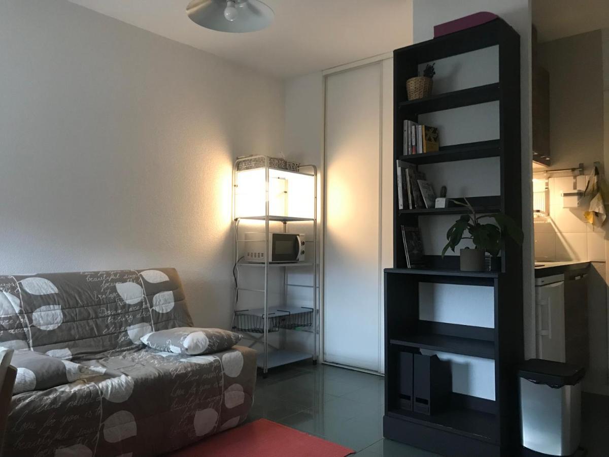 Appartement Dans Toulouse Hyper Centre Exteriör bild